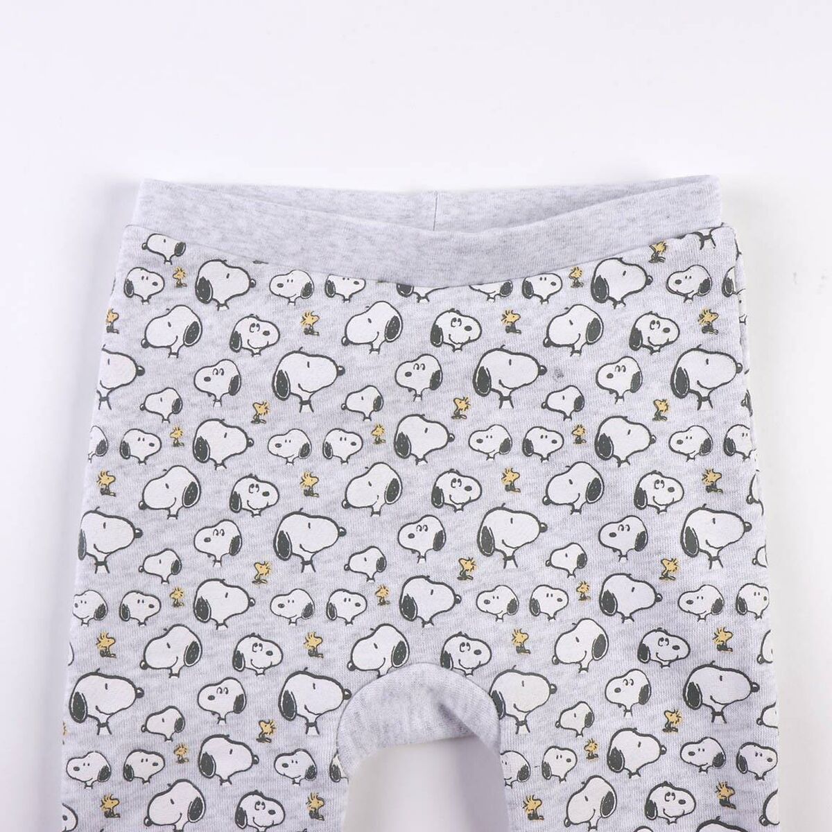 Snoopy Baby-Trainingsanzug in Grau