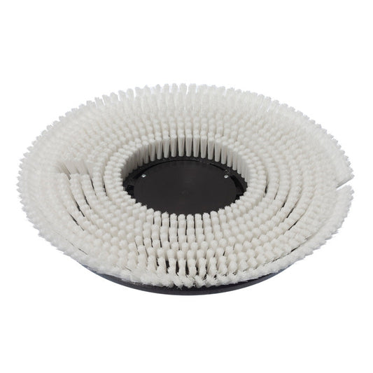 Nass-Shampoonierbürste (43 cm), Nass-Shampoonierbürste, Ø 43 cm, für TASKI ergodisc 165, 200, duo | Packung (1 Stück)