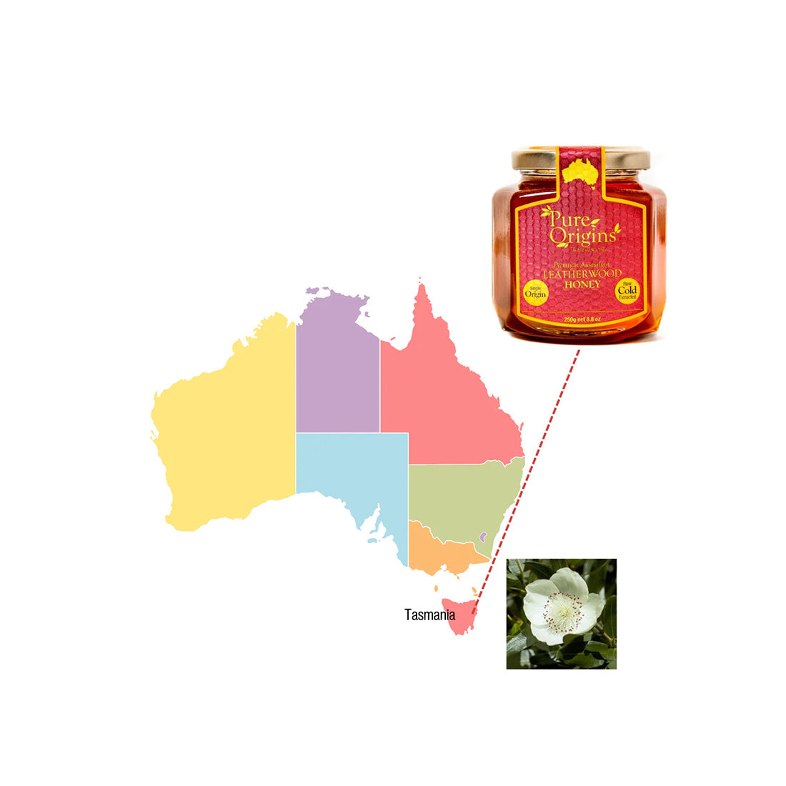 Leatherwood Honey 250g – Tasmanian Raw Honey, Cold Extracted, Natural