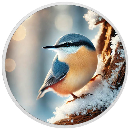 Snowlit Perch: A Nuthatch's Charm 1oz Silver
