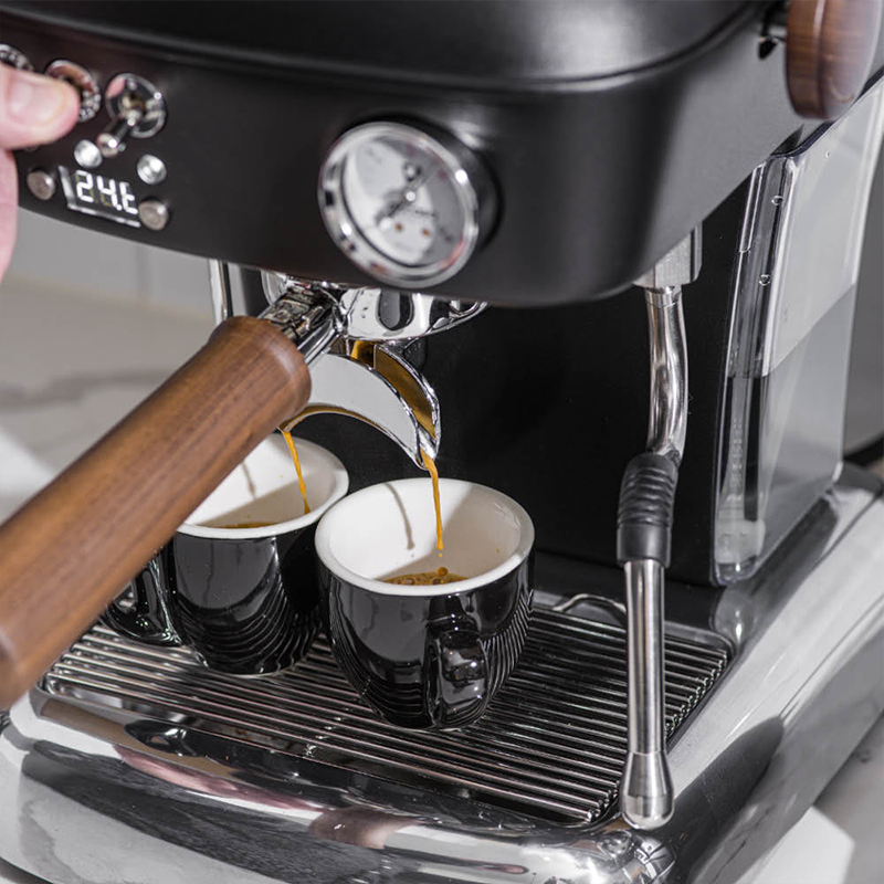 Ascaso Dream PID Espresso Machine