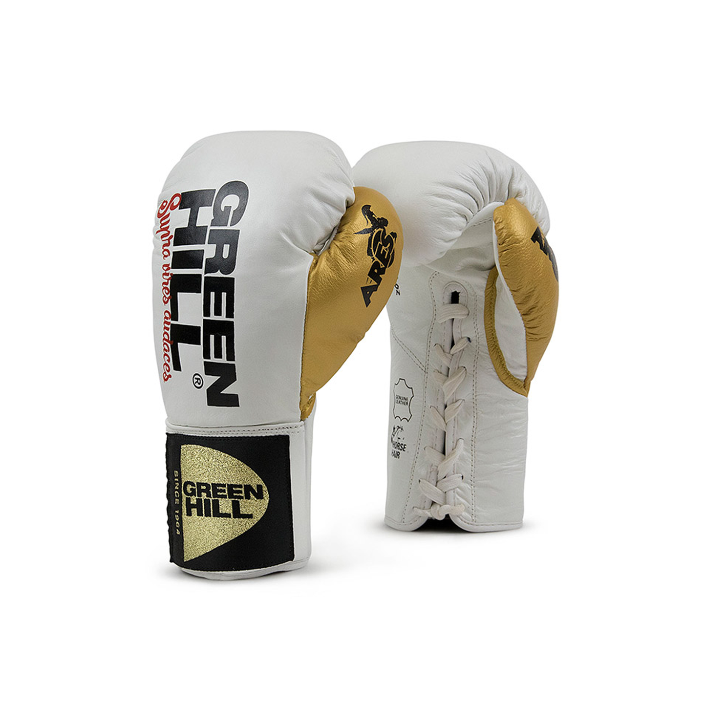 Green Hill Boxhandschuhe ARES - Leder