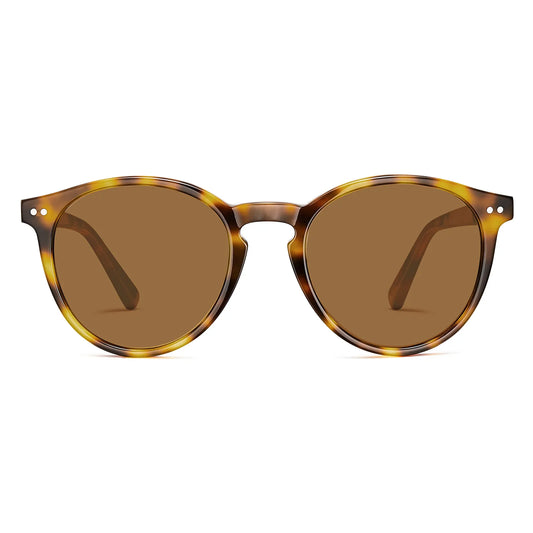 Bristol Autumn Harvest 