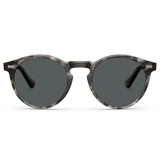 Concord-Smoky Tortoise