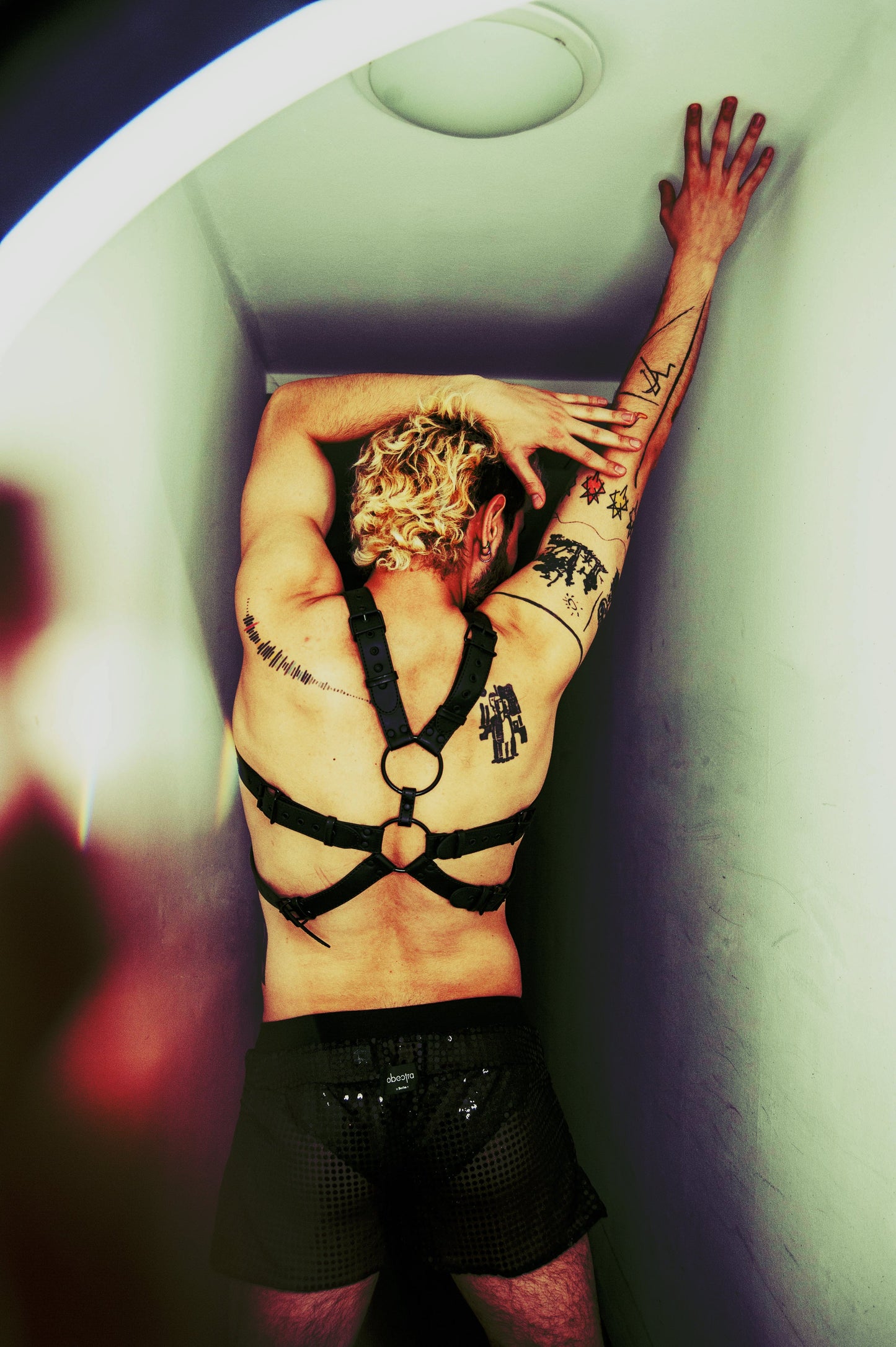 Black Fastener Harness