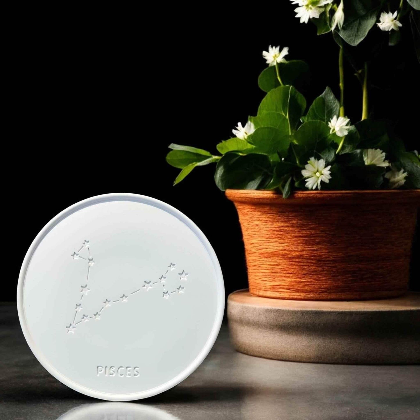 Sternzeichen-Abzeichen – Handgemachte Deko & kreative DIY-Ideen