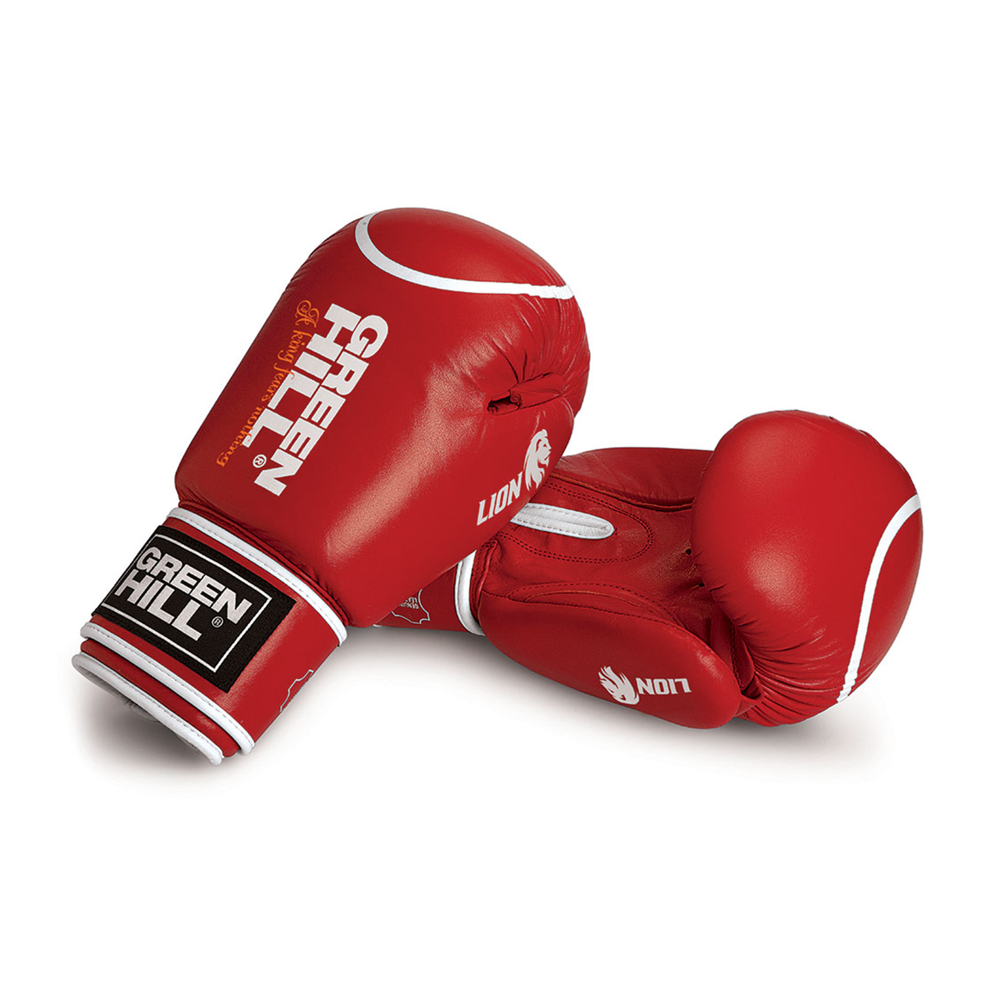 Green Hill LION Boxhandschuhe