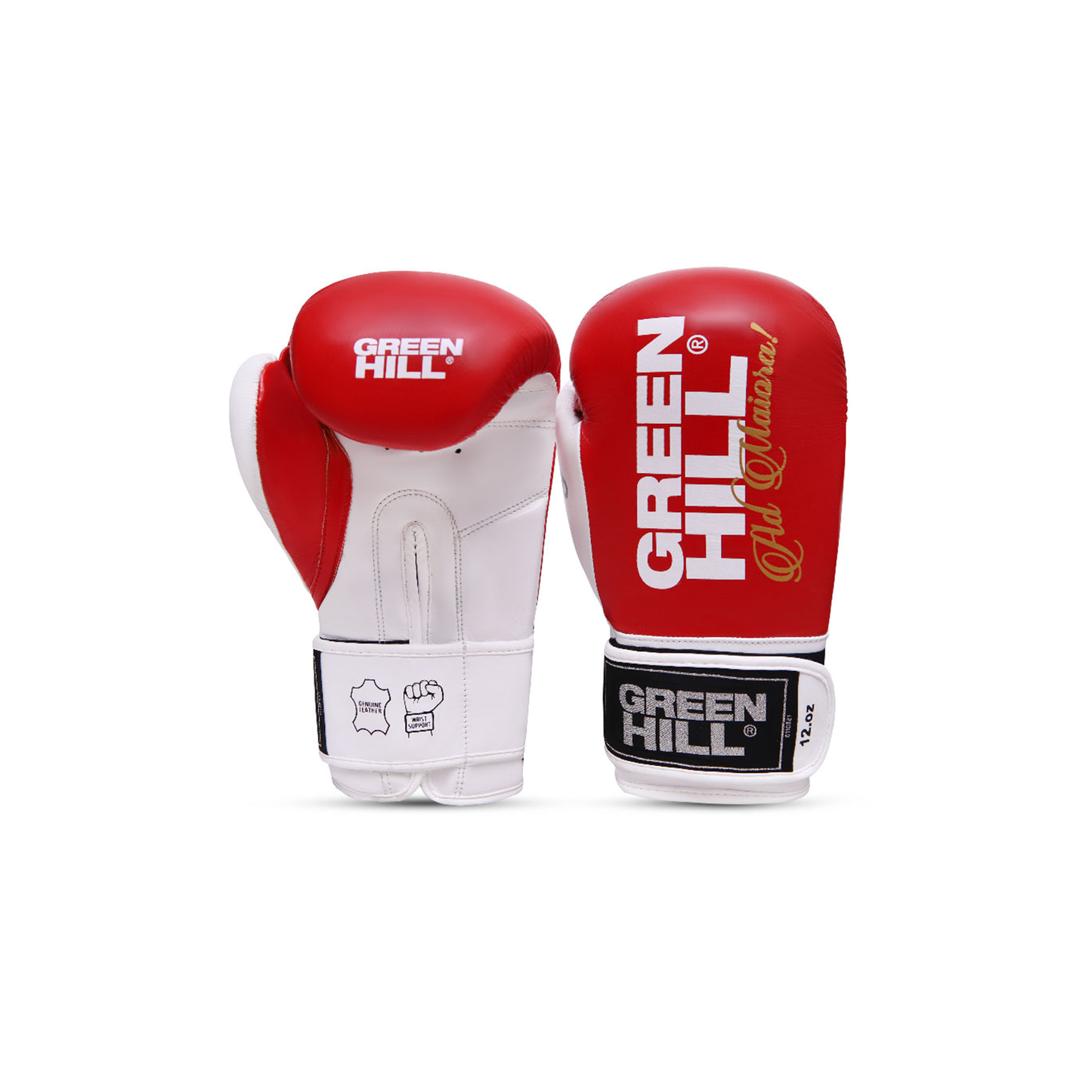 Green Hill LEGEND Silver Edition Boxhandschuhe mit Gelenkschutz