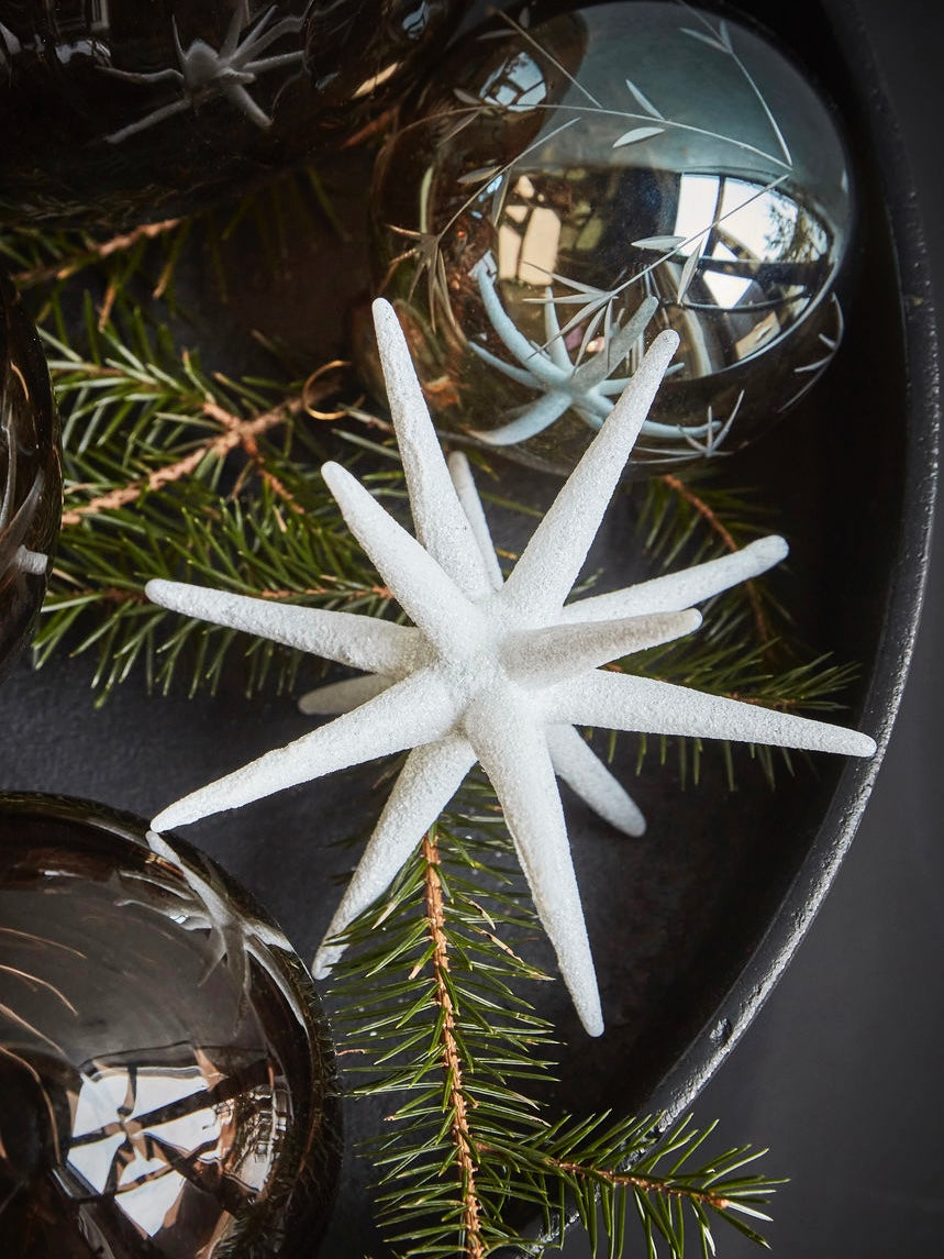 Poinsettia HDSpike white, in 2 sizes