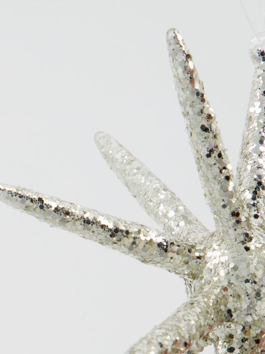 Poinsettia HDSpike silver, in 2 sizes