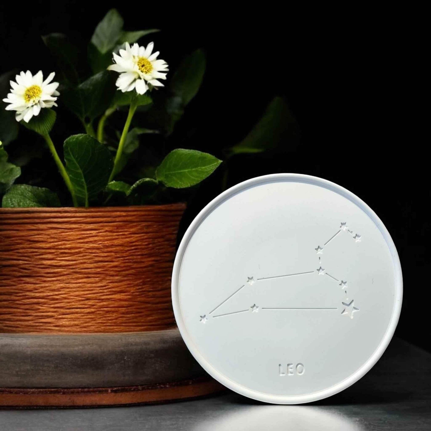 Sternzeichen-Abzeichen – Handgemachte Deko & kreative DIY-Ideen