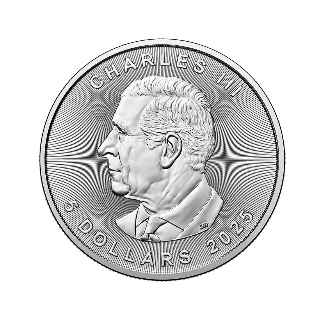 2025 Canada 1oz 9999 Silver BU The Chamber Guardian Colourized