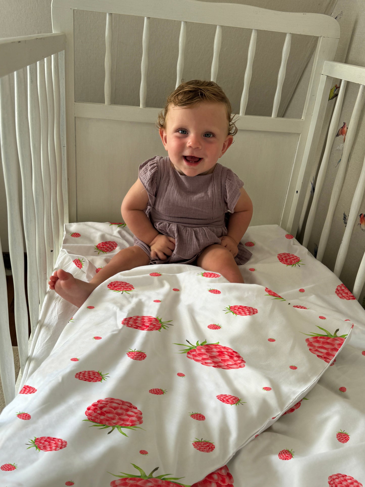 "Raspberries" Premium Children's Bedding