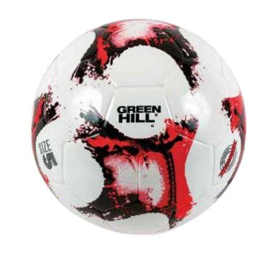 Fußball MONACO - Training NTH Technik