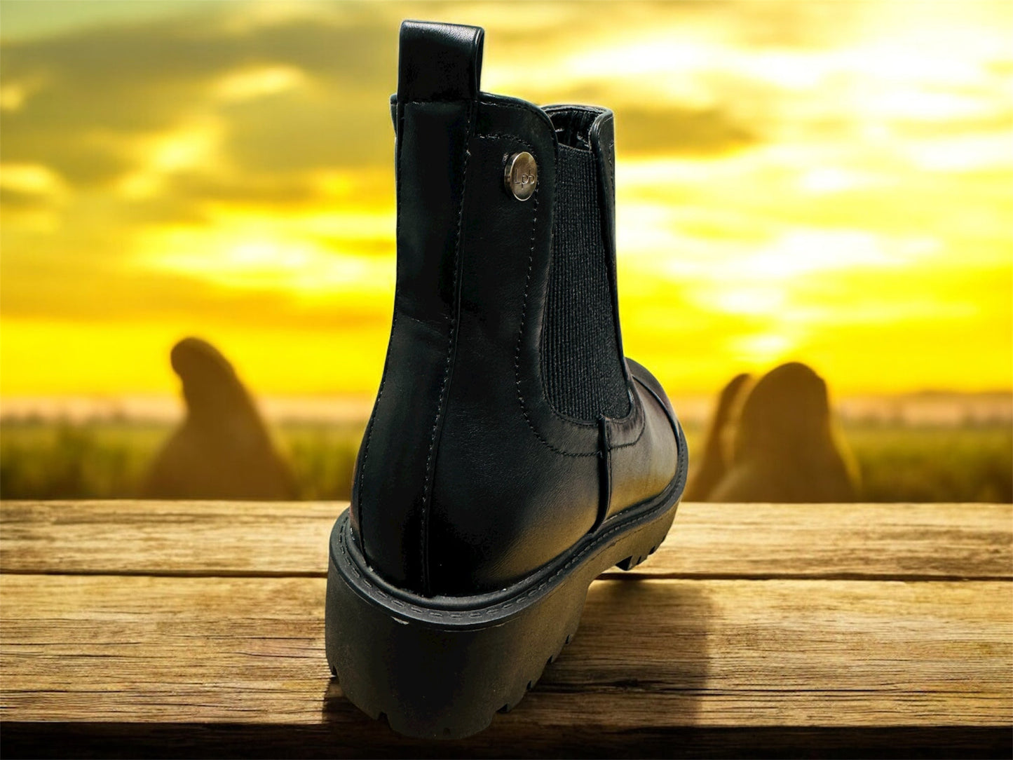 LPB (Les Petites Bombes) Bottines Erula women's winter ankle boots