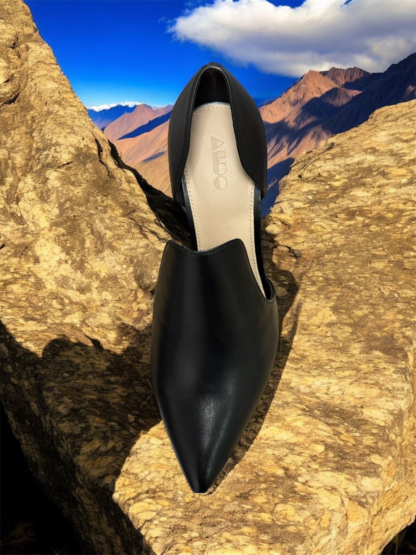 Aldo Eladrielia Damen High Heels