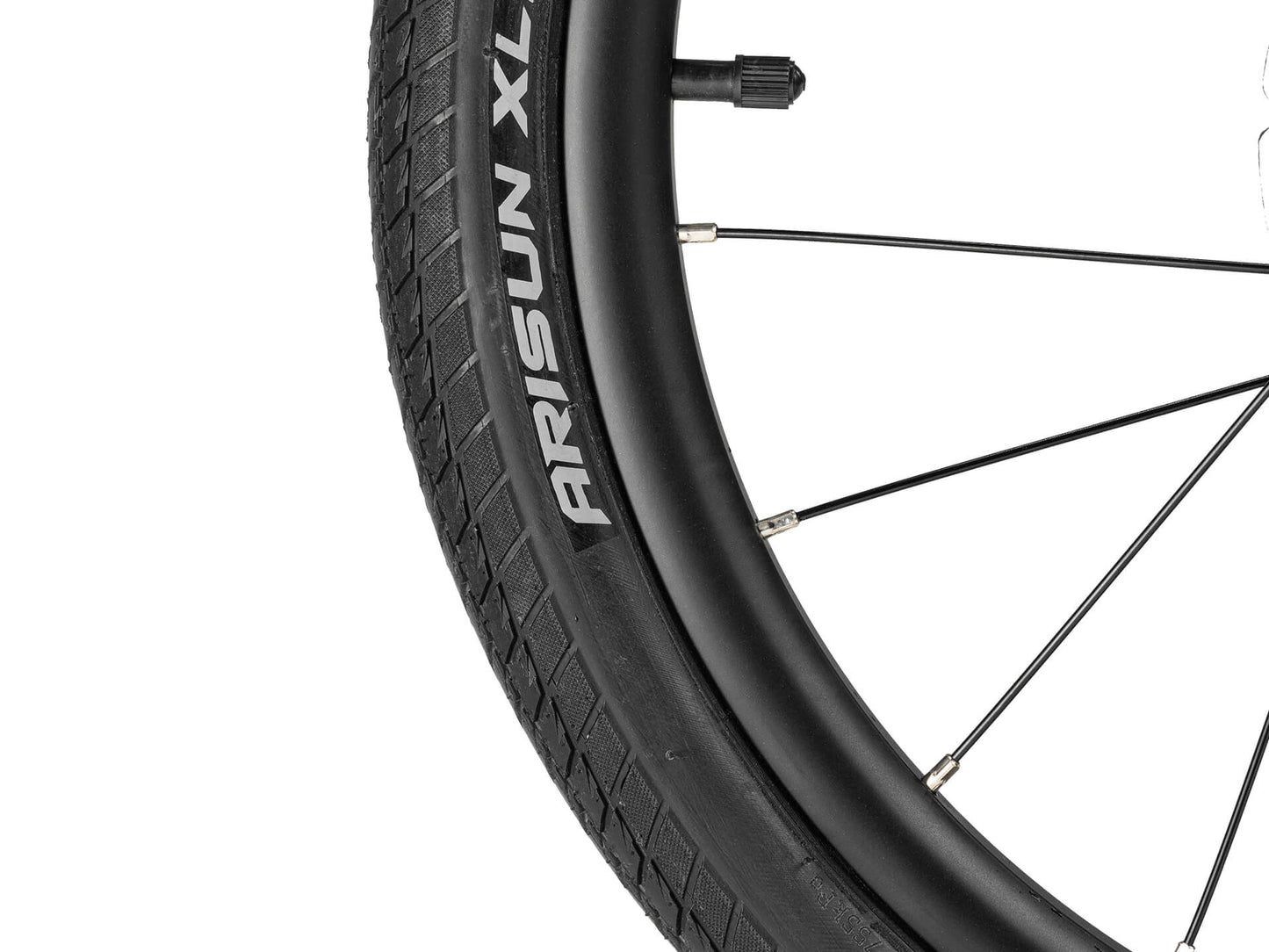 Darwin -20" Starrgabel/ Federgabel für Kinder