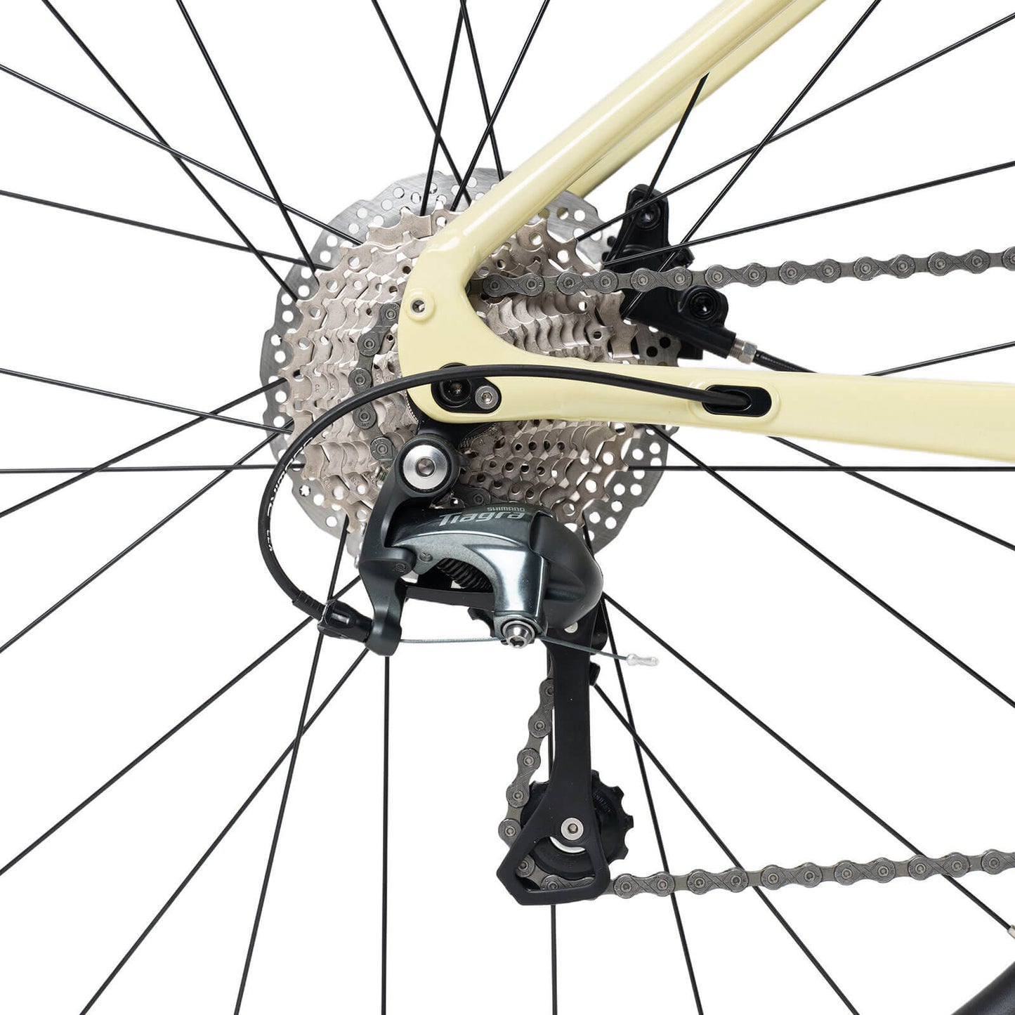 SPIN-P2M 700C gönguhjól