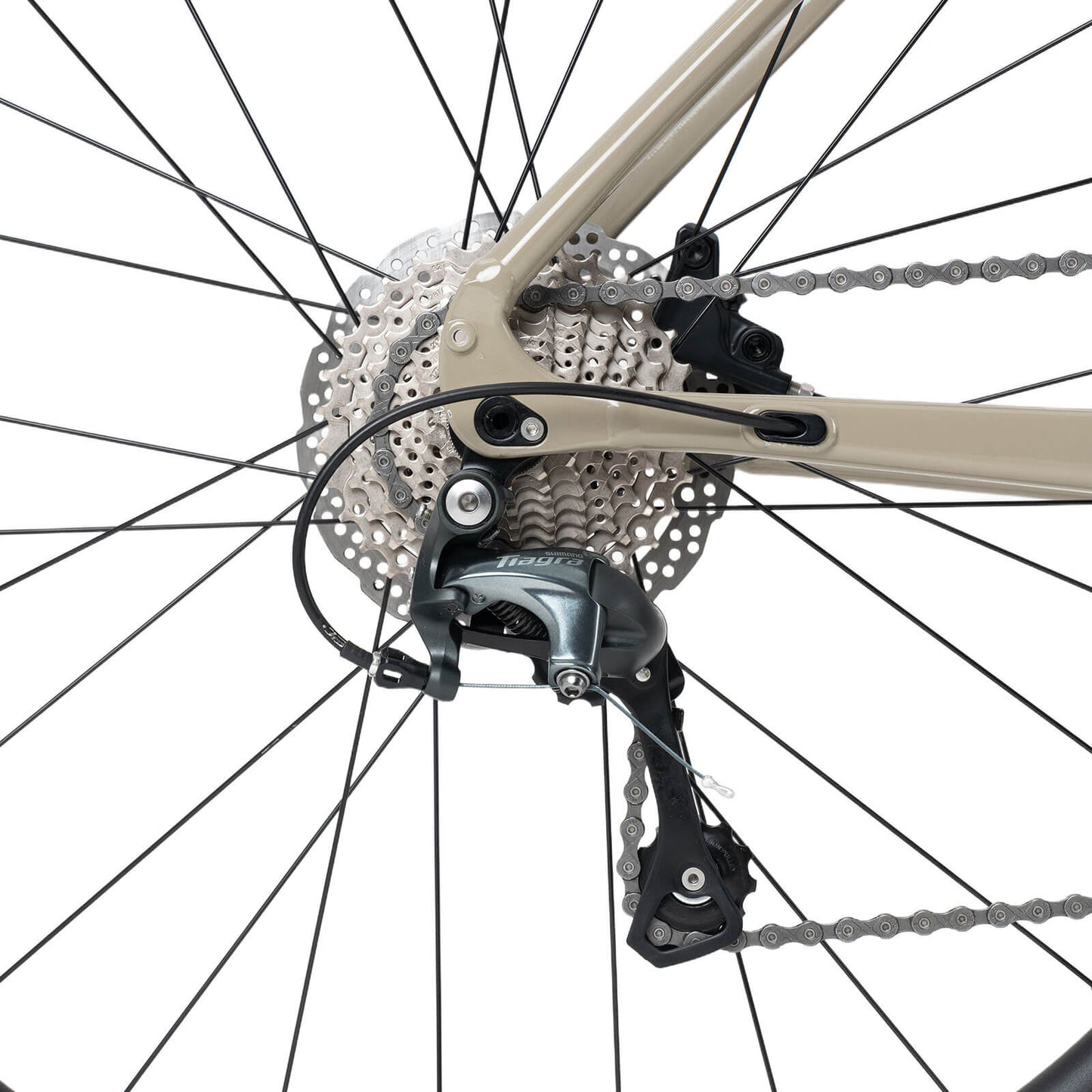 SPIN-P2M 700C gönguhjól