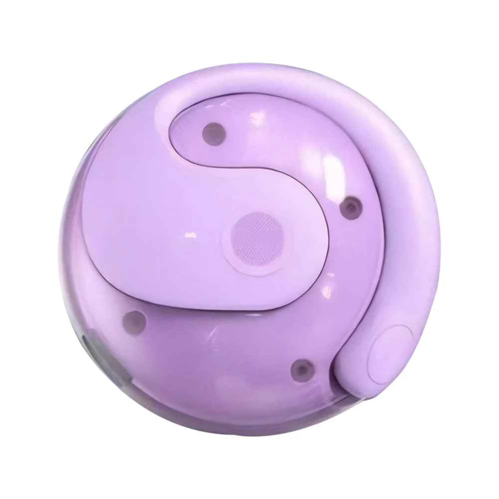 Wireless BT AI Real-Time Language Translation Earphones