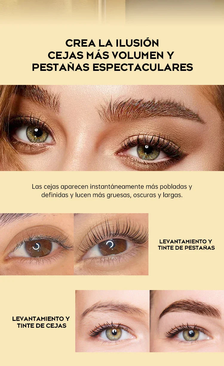Gollee Semi permanent lash &amp; brow tint natural black eyelash lifting &amp; perming kit