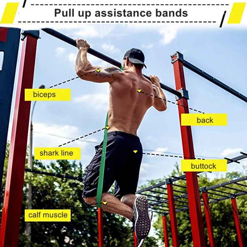 Portable Resistance Band Set – FlexFit Home &amp; Travel Fitness | Motionshop