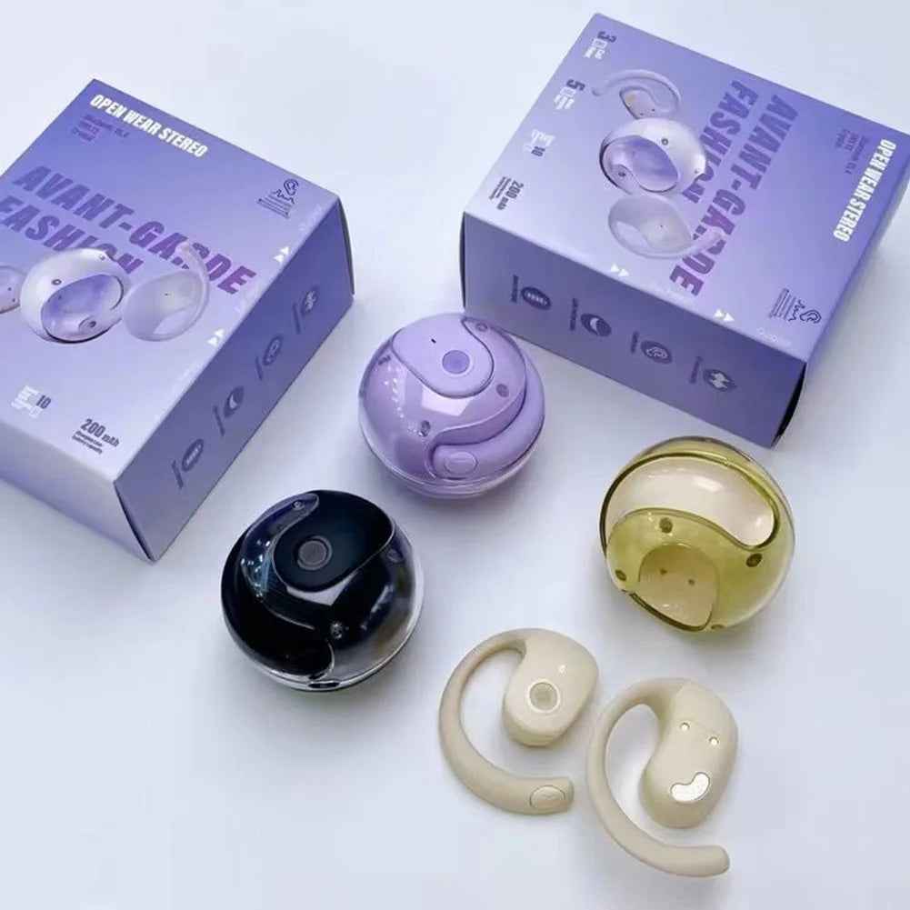 Wireless BT AI Real-Time Language Translation Earphones