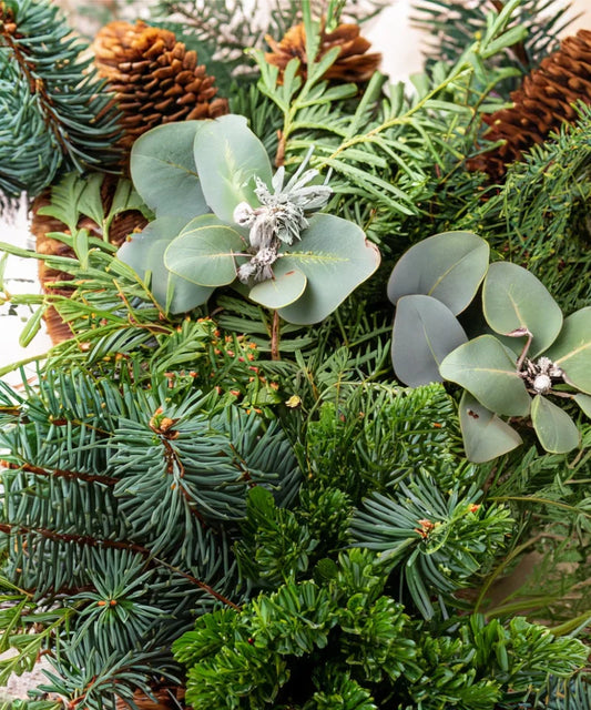 Organic essential oil - "Shinrin Yoku" - Forest scent for natural relaxation