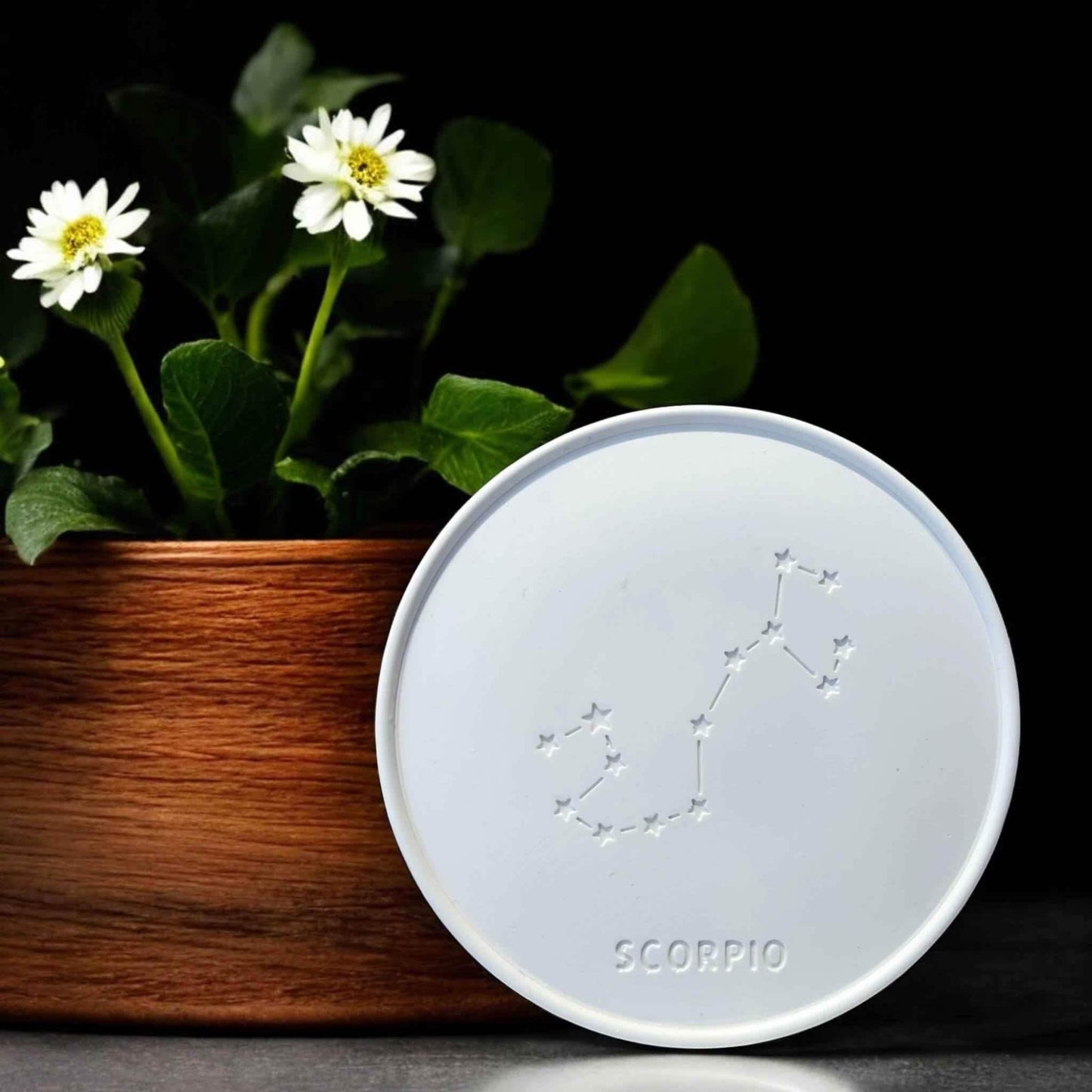 Sternzeichen-Abzeichen – Handgemachte Deko & kreative DIY-Ideen