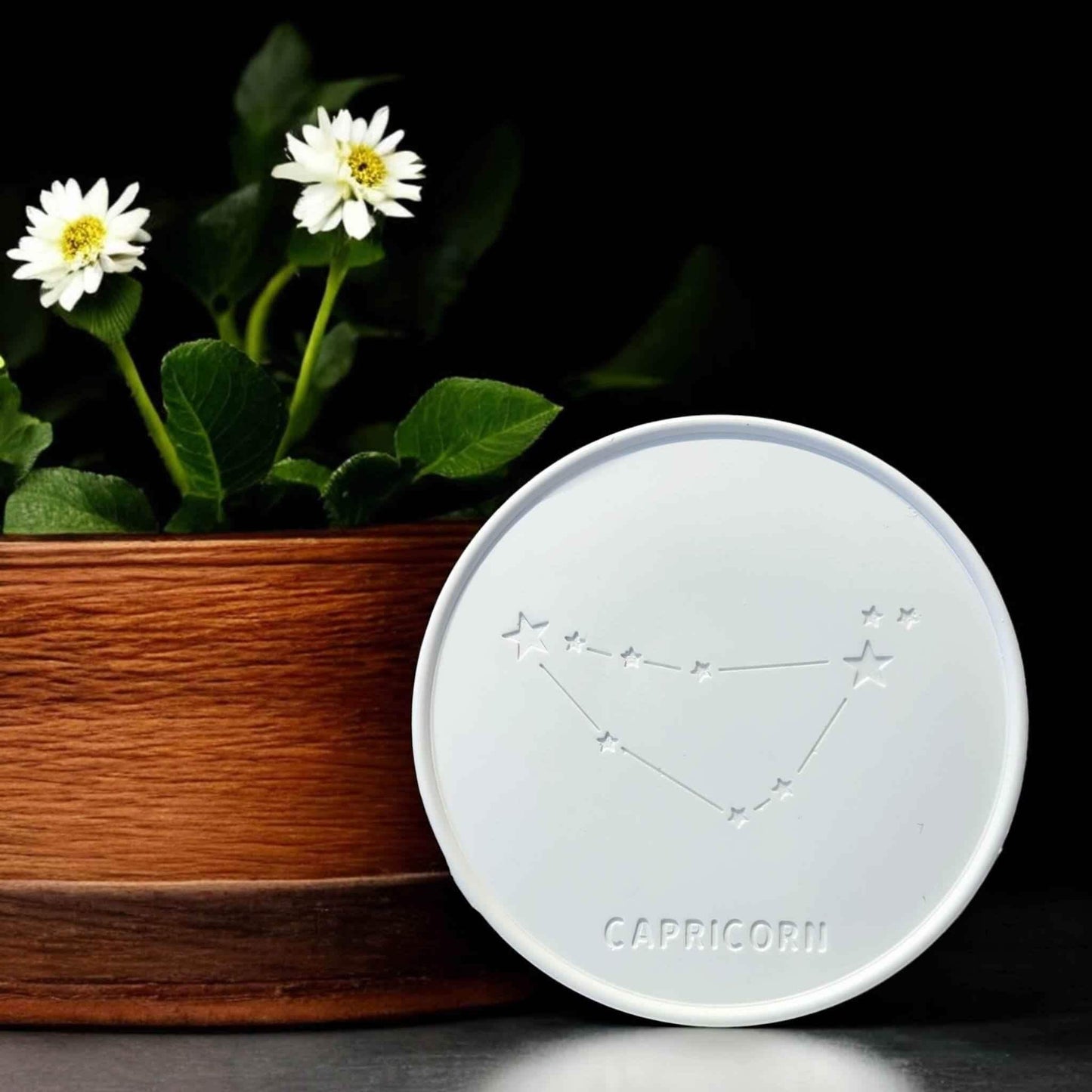 Sternzeichen-Abzeichen – Handgemachte Deko & kreative DIY-Ideen