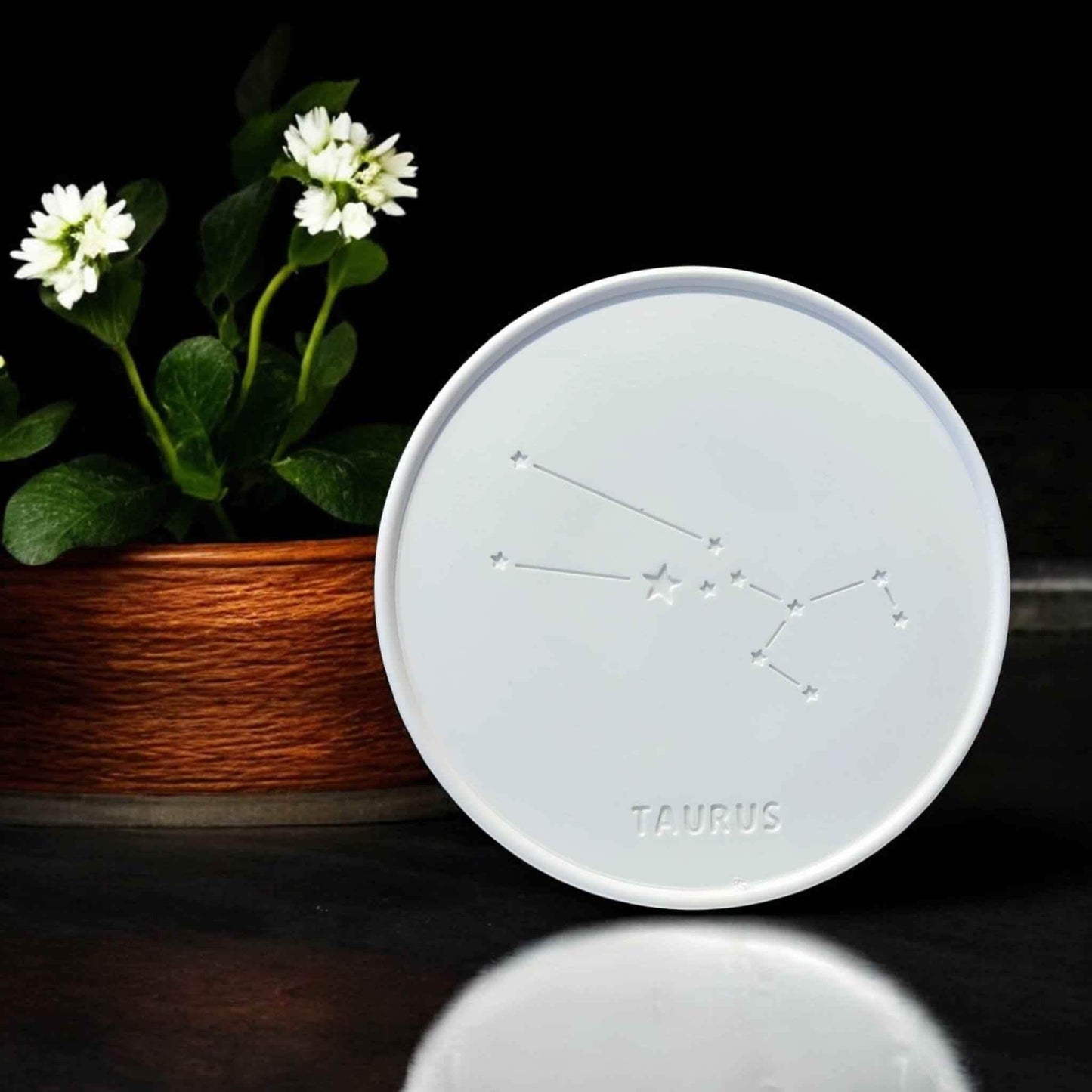 Sternzeichen-Abzeichen – Handgemachte Deko & kreative DIY-Ideen