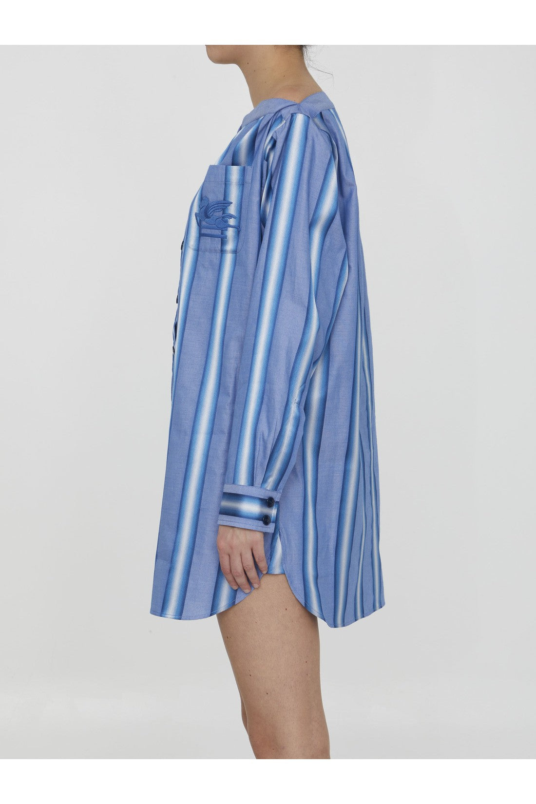 Striped shirt dress