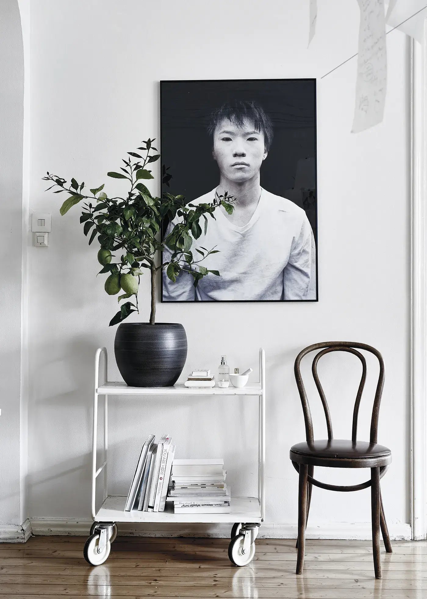 Green Home Book - Coffee Table Book - Green Living