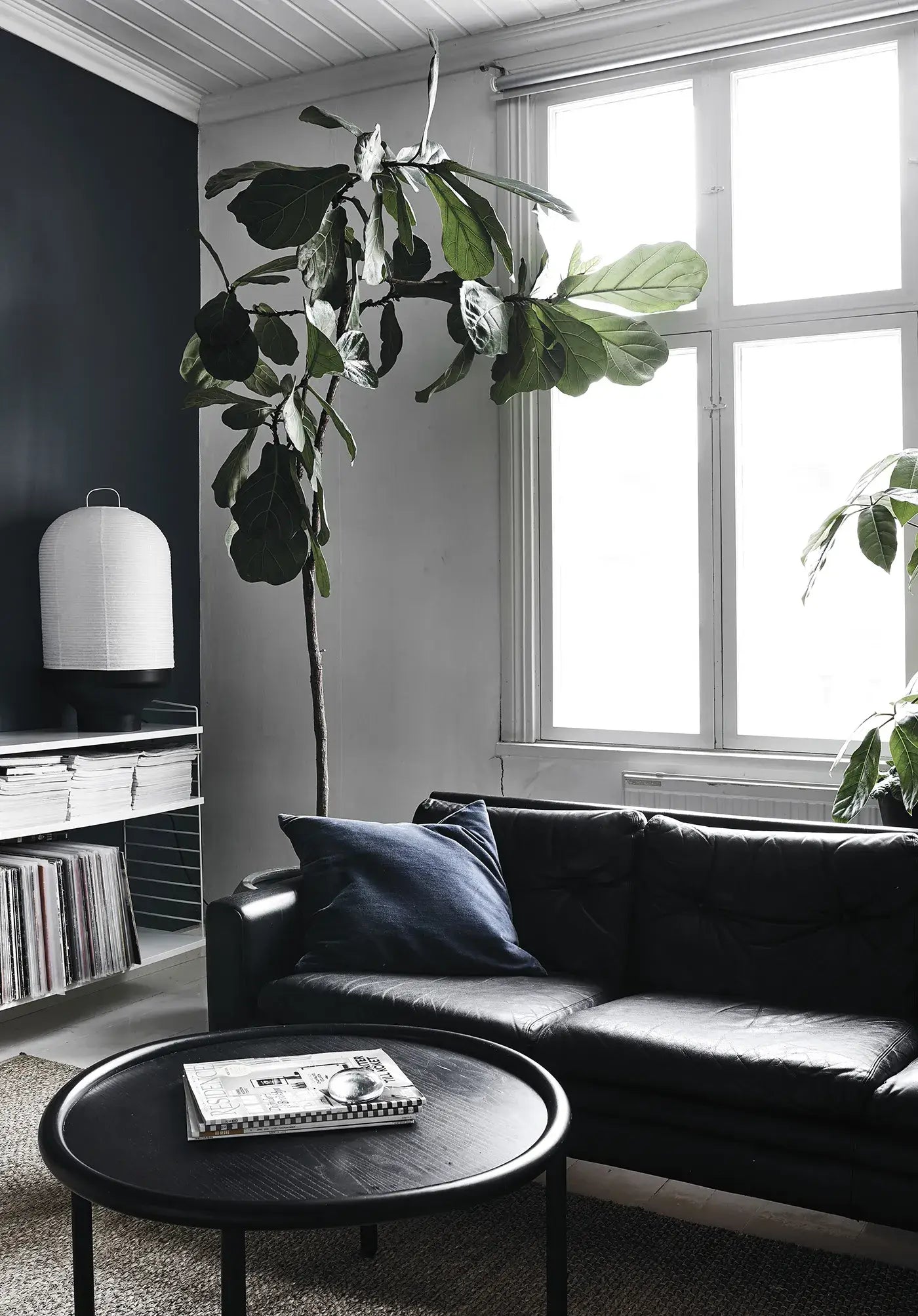 Green Home Book - Coffee Table Book - Green Living