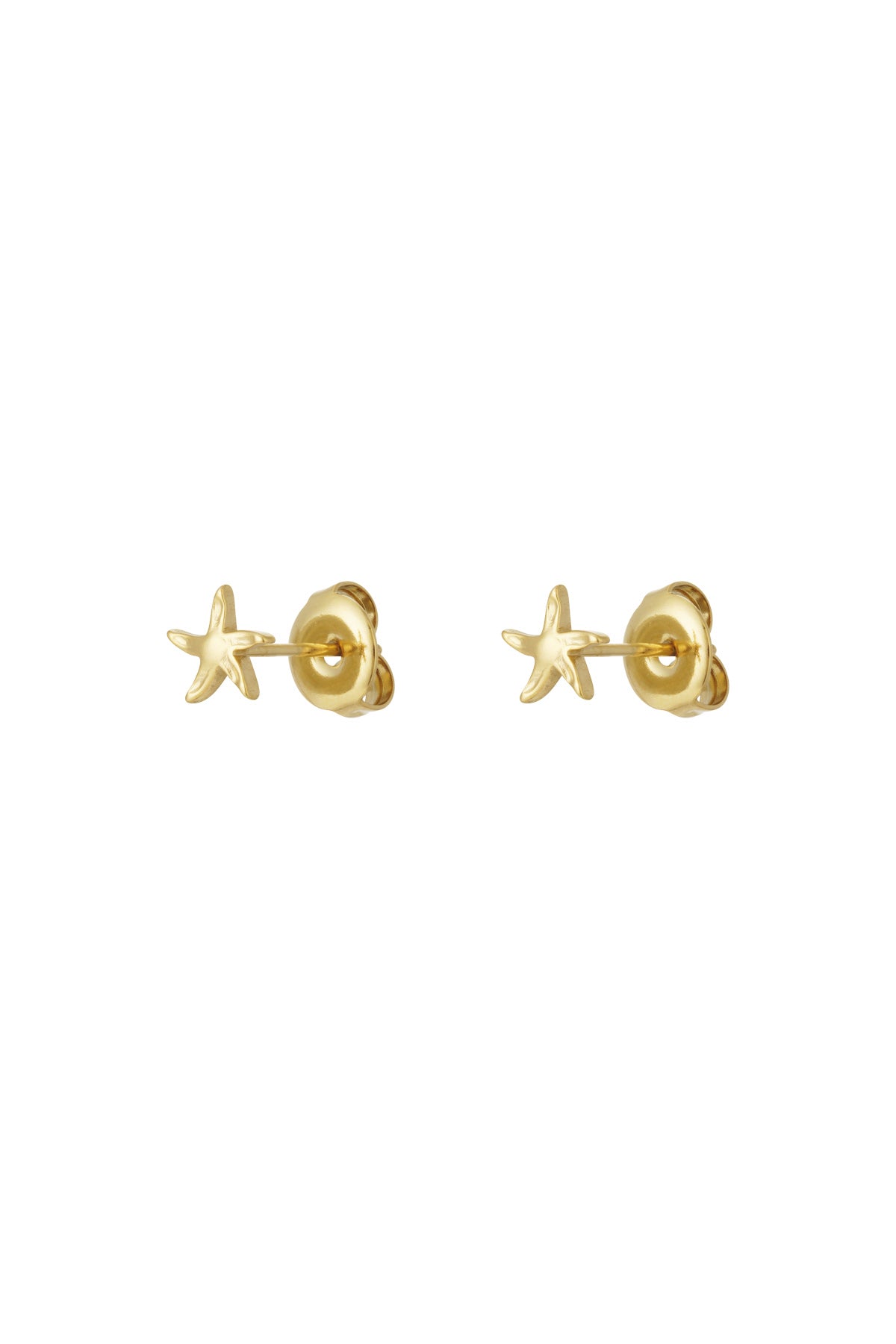 Ozean Charm Ohrringe