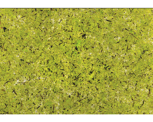 B-flokks 5x 4 pakkar af náttúrulegum mosa gegnsæjum sjálflímandi filmum DIN A4