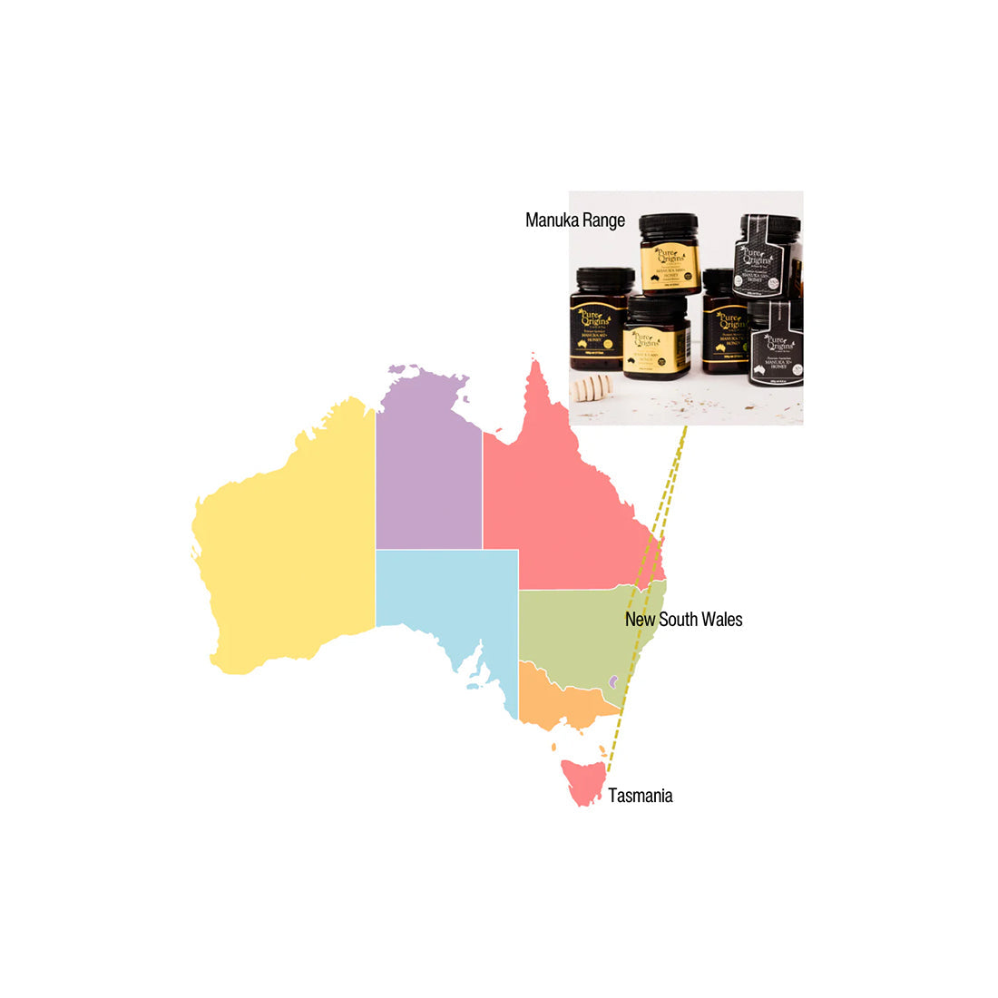 High Strength Manuka Honey 800+ MGO – 250g Australian Raw Honey, Cold Extracted