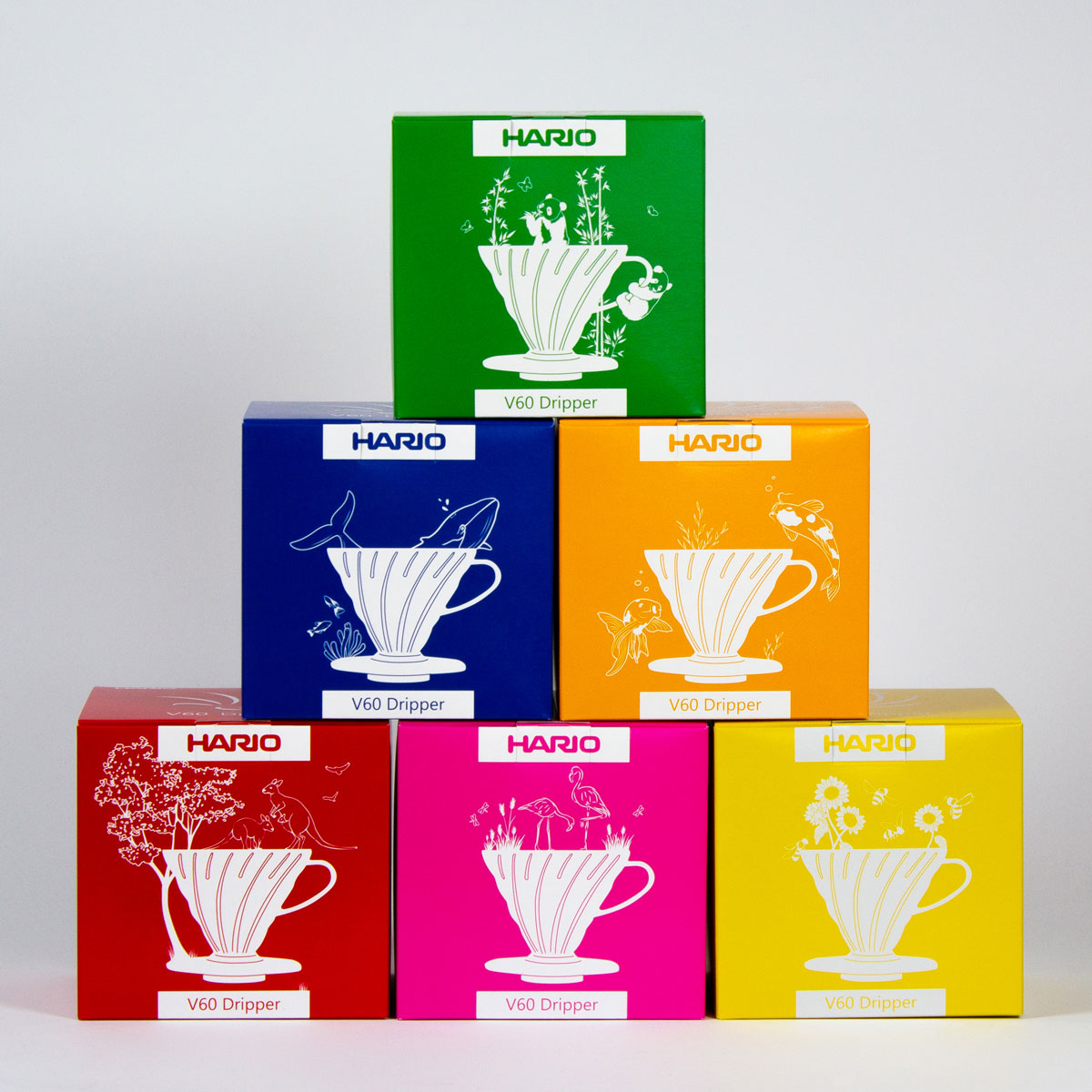 Hario V60-02 Plastic Coffee Dripper with 40 Filters