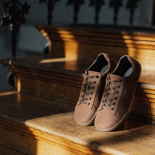 BLSN-100M brown