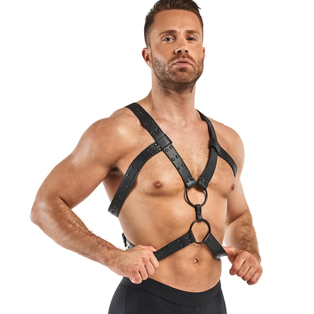 Black Fastener Harness