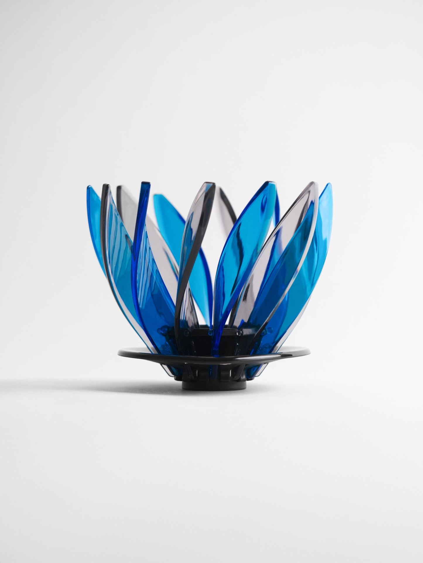 Hario Suiren Rib 6-Piece Set – Elegant Transparent Glassware