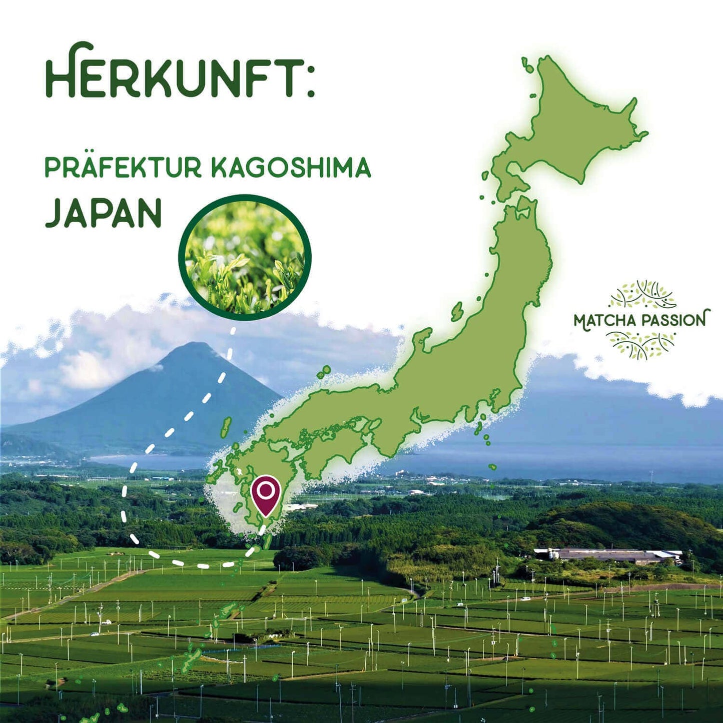 Lífræn Matcha Premium 30g dós