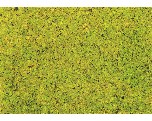 B-flokks 5x 4 pakkar af náttúrulegum mosa gegnsæjum sjálflímandi filmum DIN A4