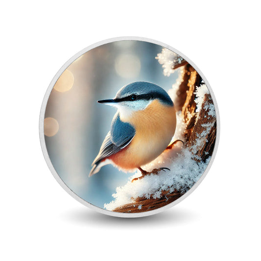 Snowlit Perch: A Nuthatch's Charm 1oz Silver