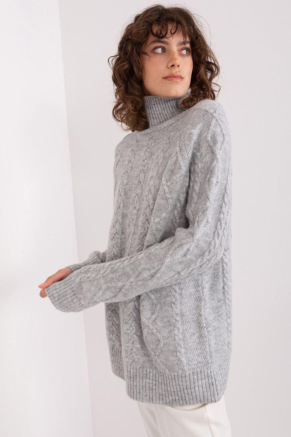  Rollkragenpullover model 189229 AT 