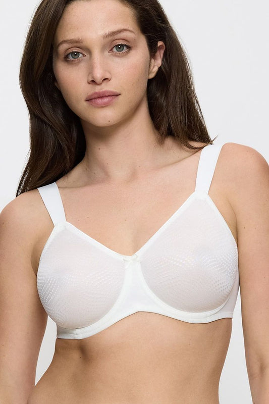  Soft model 230705 Triumph 
