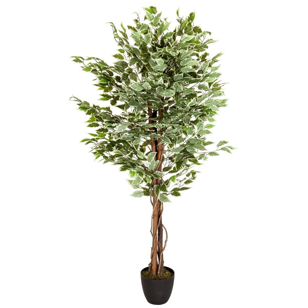 B-grade Hjh Office artificial plant, artificial tree, Ficus, plastic plant, green 