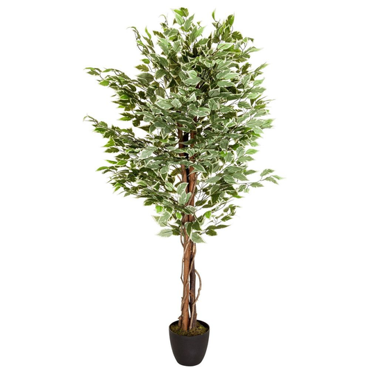 B-grade Hjh Office artificial plant, artificial tree, Ficus, plastic plant, green 