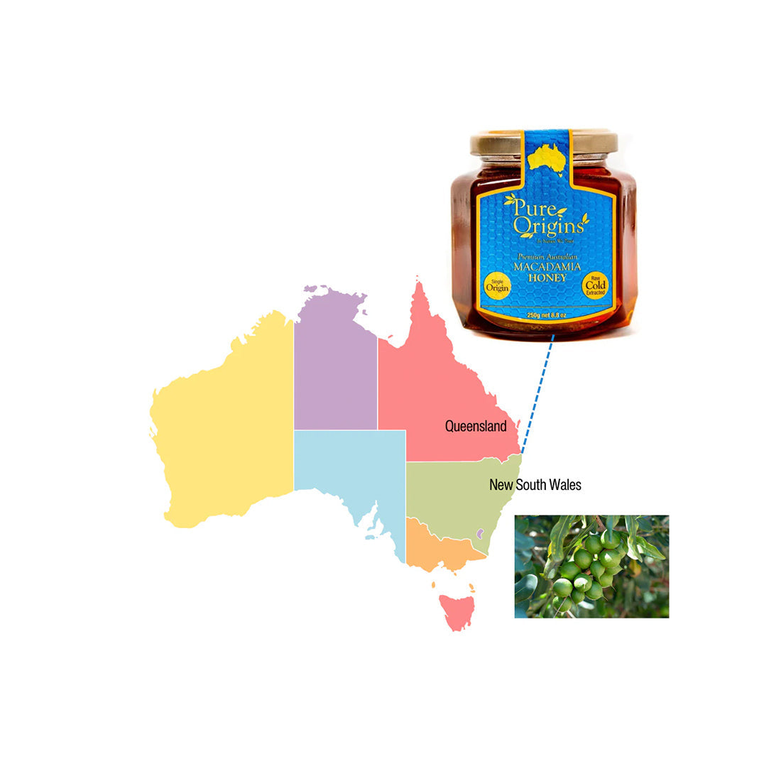 Natural Macadamia Honey 250g – Australian Origin, Raw, Pure