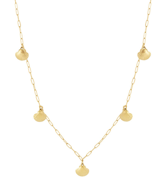 Muschel-Halskette